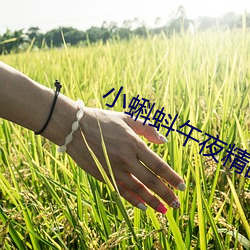 小蝌蚪午夜精品國産專區