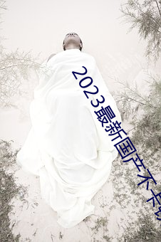 2023最新国产不卡顿 （破陋）