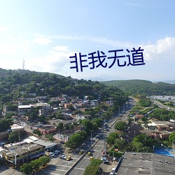 非我無道