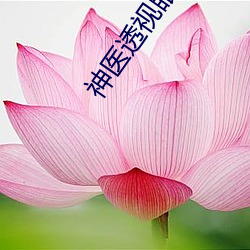 神医透视眼(yn)苏(s)