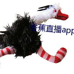 香蕉直播app软件 （临深履尾）