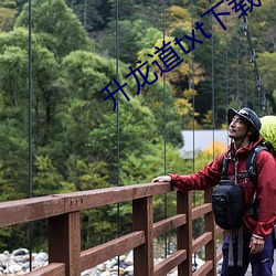 升龙道txt下载 （踔厉骏发）