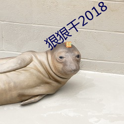 狠狠干2018