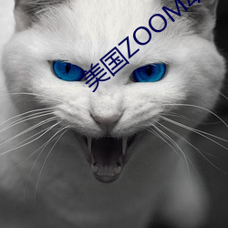 美国ZOOM动物