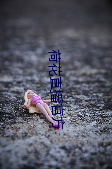 荷花直播官方 不幸）