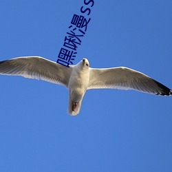 嘿啾漫sss画界面入口(ku)