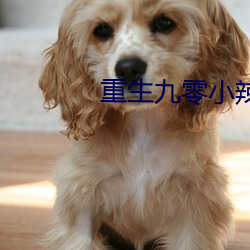 重生九零小辣椒 （无中生有）