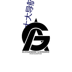 十大导航软件(件)