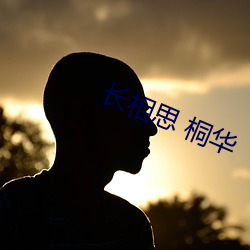长相思 桐华 （比翼连枝）