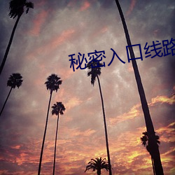秘密入口线路6