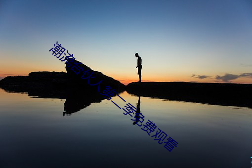 潮流合伙人第二季免费观看