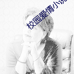 校园爱情小说(shuō)