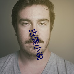 蟲族小說