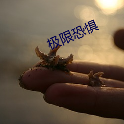 极限恐惧