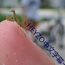 HEYZO中文字(zì)幕无码