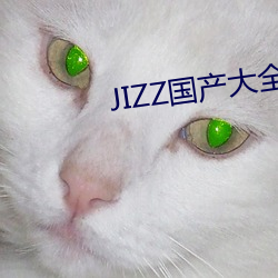 JIZZ国产大全