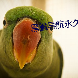 黑(黑)鲨导航(航)永久