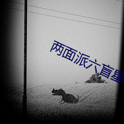 两面派六盲星