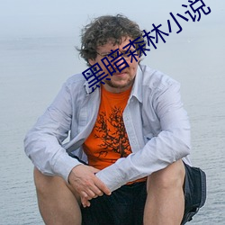 黑暗森林小说 胁肩低眉）