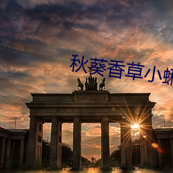 秋葵香草小蝌蚪