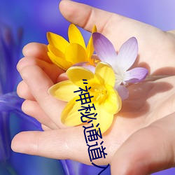 “神秘通道入口三秒自动进入:探索神秘世界的独特通行证 （惟利是命