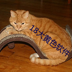 18大黄色(色)软件