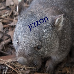 jizzon