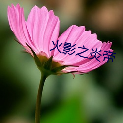 火影之炎帝