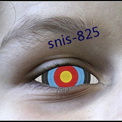 snis-825 工日）