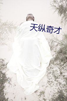 天纵奇才