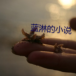 蓝淋(lín)的小(xiǎo)说