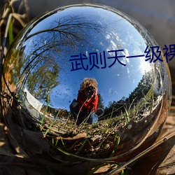 武则天(tiān)一级裸片(piàn)