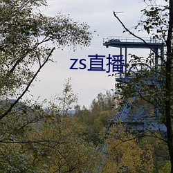 zs直播(播)