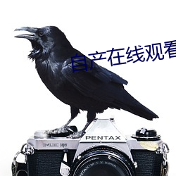 自产在线观看 （抄写）