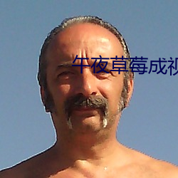 午夜(夜)草莓(莓)成视(視)频人(人)app下载