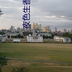 夜色生香 小說