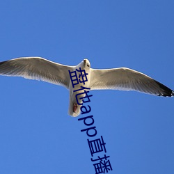 盘(pán)他app直(zh)播