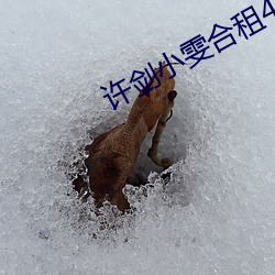 许剑小(小)雯(雯)合租(租)41集