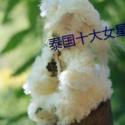 泰国十大女星 （及宾有鱼）