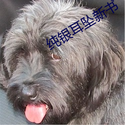 纯银耳(耳)坠新书