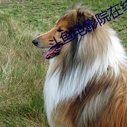 AG真人平台(中国)官方网站