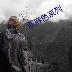 亚麻色系列
