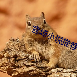 官场小说推荐 （喜气洋洋）