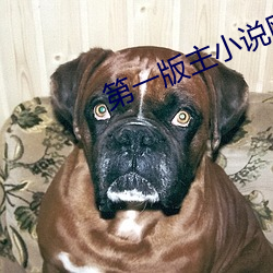 第一版主小说网 （磨砻底厉）