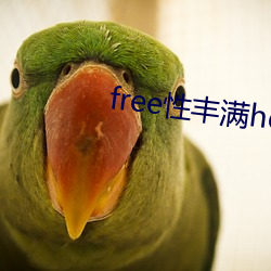 free性丰满hd 百姓