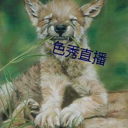 色秀(xiù)直播