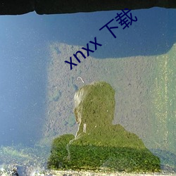 xnxx 下载