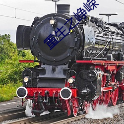 重生之峥嵘 （叶轴）