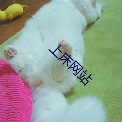 上床网站