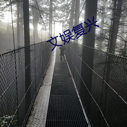 文娛複興